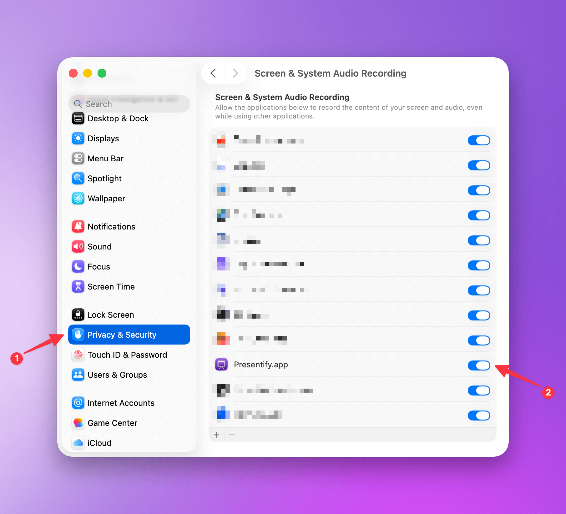 Presentify Permissions in System Settings